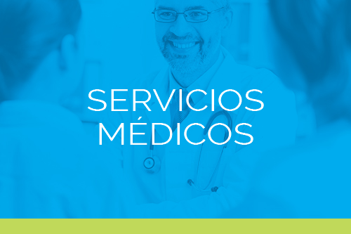 Servicios