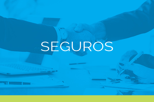 Seguros